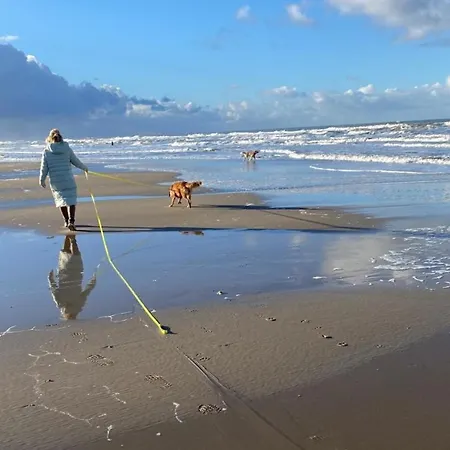 Nr 88 Neues, Ruhiges Hundefreundliches Direkt Am Wattenmeer, Komplett Eingezaeunt 4*