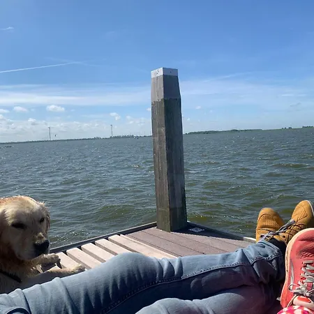 Nr 88 Neues, Ruhiges Hundefreundliches Direkt Am Wattenmeer, Komplett Eingezaeunt Westerland