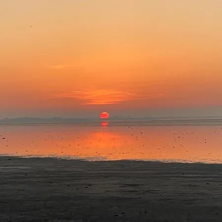 Hotel Nr 88 Neues, Ruhiges Hundefreundliches Direkt Am Wattenmeer, Komplett Eingezaeunt 4*