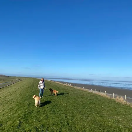 Hotel Nr 88 Neues, Ruhiges Hundefreundliches Direkt Am Wattenmeer, Komplett Eingezaeunt 4*