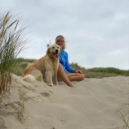 Nr 88 Neues, Ruhiges Hundefreundliches Direkt Am Wattenmeer, Komplett Eingezaeunt Hotel